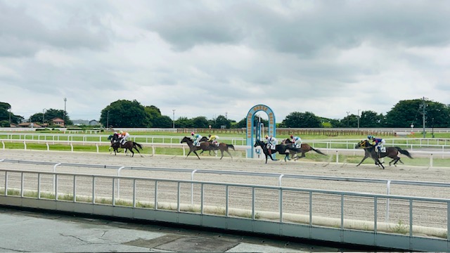 【ご近所】笠松競馬場🐴